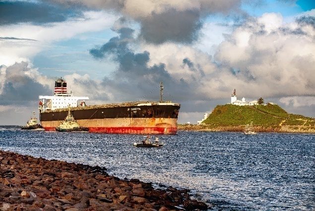 A container ship by the shore