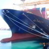 M/V AS CARLOTTA