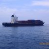 M/V GREEN EARTH