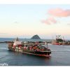M/V MARIA C