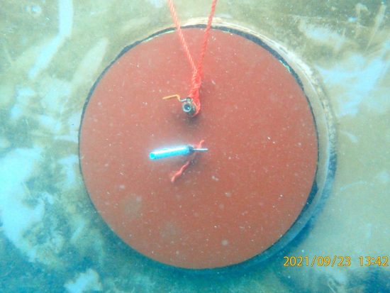 Blanking EGCS discharge