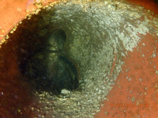 Marine growth blockage