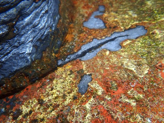 Crack found in rudder plate